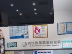 -伟伟宠物医院·瑞派猫友好医院·猫科(光谷店)