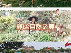 -野狸岛