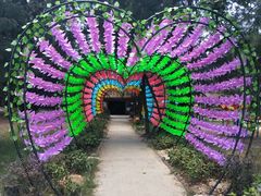 -北海金海湾红树林生态旅游区