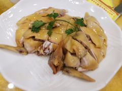 白切鸡-壹厨饭店(五羊店)