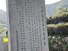 -龙井村