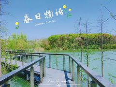 -昆山城市生态森林公园