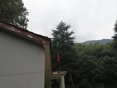 -午潮山国家森林公园