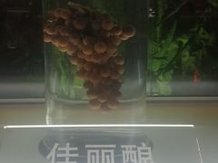 -青岛葡萄酒博物馆