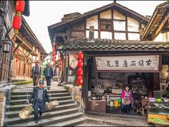 -南山植物园