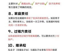 -王丽律师团队·专注婚姻家事(黄浦店)