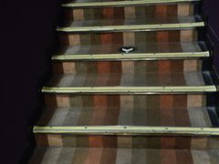 -天幕新彩云国际影城(激光巨幕店)