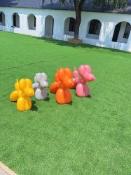 -优沃得自然教育农场·冰雪乐园·生日会·研学