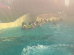 景点-上海玛雅海滩水公园