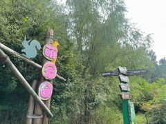 -江苏三台山国家森林公园