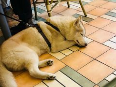 -BOTTEGA意库(中骏世界城店)