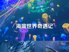 -海合安武汉极地海洋公园