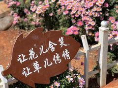 -南诏风情岛