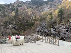 -叠溪松坪沟景区