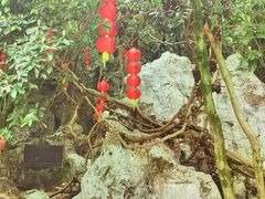 -杭州西湖风景名胜区-三生石