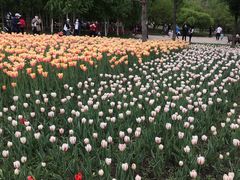 -长春公园(普阳街道)