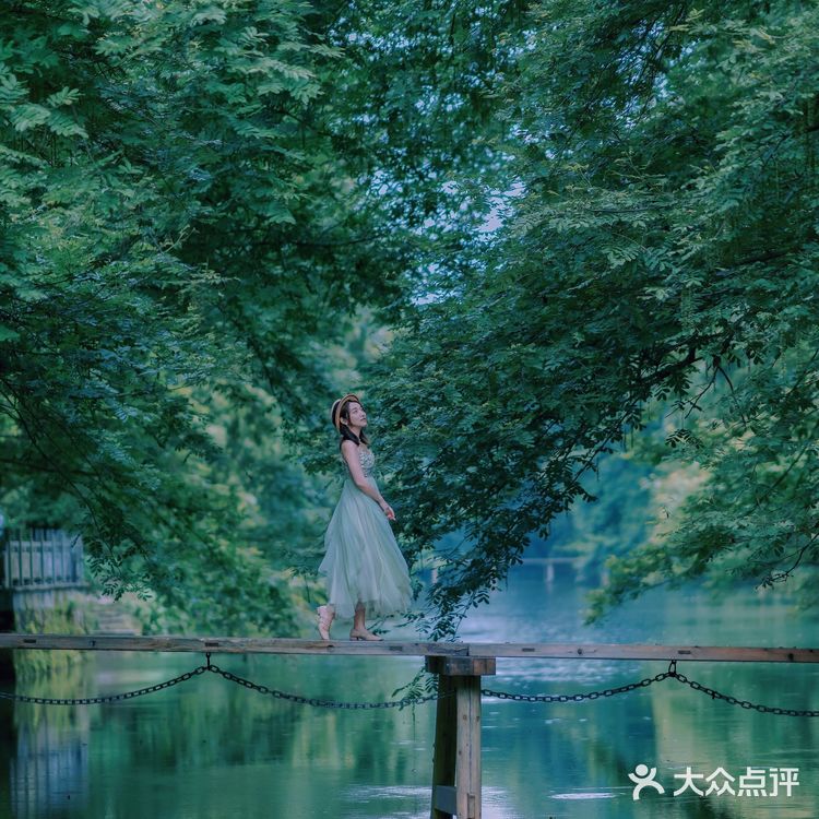 『黄山』闯入绿野仙踪🍃奇幻森林，赴一场仙境之约