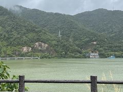 -芦茨金富饭庄·25年老字号·专做稻草鸡