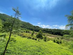 -东莞市大岭山森林公园