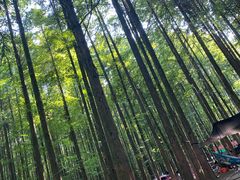 -山王坪喀斯特国家生态公园