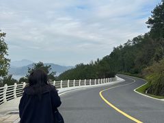 -千岛湖天屿景区