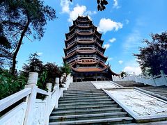 -铁山坪森林公园