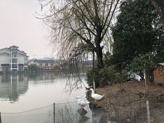 -杭州世外桃源君澜度假酒店