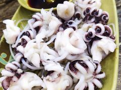 芥末海菊花-贞姨美食·老字号海鲜大排档