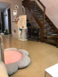 -첫번째 初见美学中心