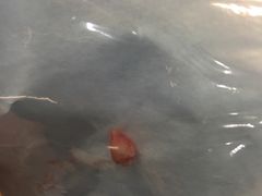 -同济大学附属口腔医院