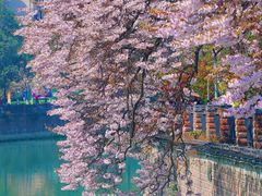 -成都市活水公园