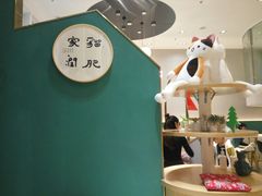 -飞行喵MR PILOT|猫舍·猫咖(静安大融城店)