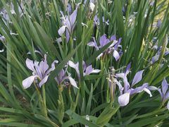 -廊坊文化艺术中心