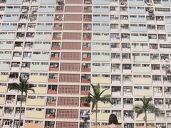 -彩虹村