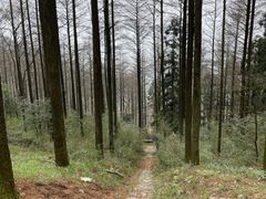 -莫干山风景区