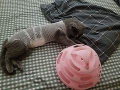 -天津前进宠物医院(前进道店)