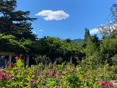 -国家植物园南园