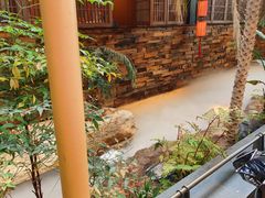 -单家老院·院子里的青岛菜(沙子口店)