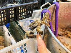 -争先鲜·蒸汽海鲜自助·鲜切牛肉