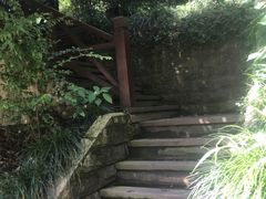 -十八棵（老龙井）御茶园(老龙井店)