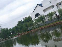 -雁滩公园