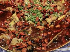 -新概念来凤鱼(璧山店)