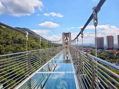 -客天下恐龙水晶玻璃桥