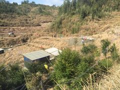 正宗山场放养土鸡-江湾牛蹄馆