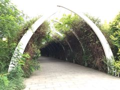 -天津东丽湖风景区