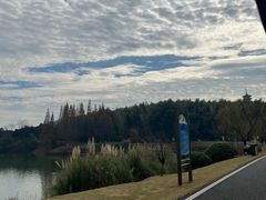 -宜兴龙背山森林公园