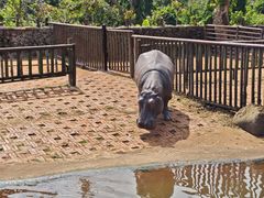 -海南热带野生动植物园