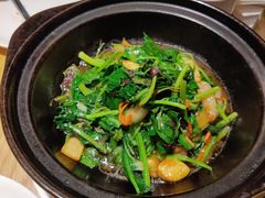 太行山砂煲养生野菜-小放牛河北菜(长安万达店)