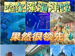 -哈尔滨波塞冬海底世界