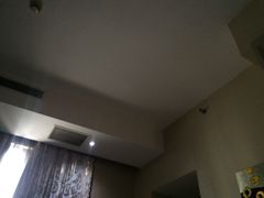 和颐酒店(徐汇店)-和颐至尊酒店(上海徐家汇桂林公园地铁站店)